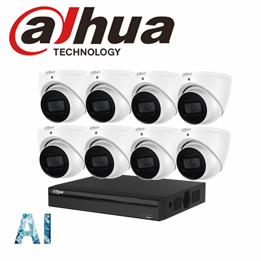 Dahua CCTV KIT : AI 8CH W/ 8 x 6MP HDW3666EMP System choose HDD